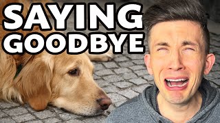 The reason my husband lost his first guide dog (so sad!)