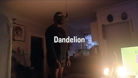 Dandelion (ft. Honey Gentry) [Official Music Video]
