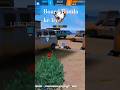 boat Banda ke liye Sahi solution#freefire #viral #shorts
