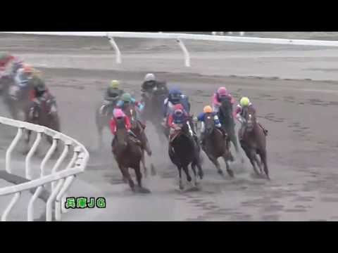 2016/11/23 第18回 兵庫ジュニアグランプリ（JpnⅡ）《川原正一 勝利騎手インタビュー》