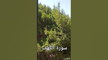 سورة الكهف #تلاوة_خاشعة #اكسبلور #المصحف #سورةـالكهف #سورة_الكهف #الجمعة #تلاوة_خاشعة #المصحف