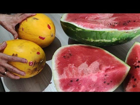 اللهم ادمها نعمة واحفظها من الزوال