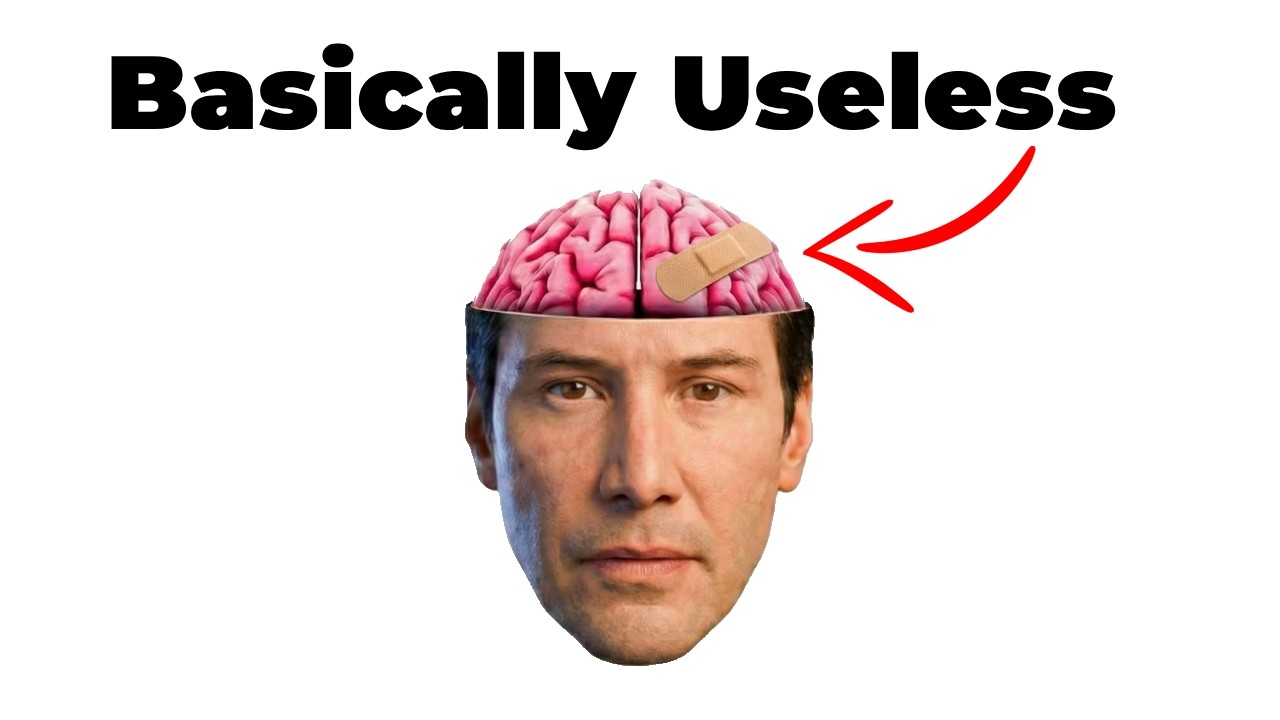 Nothing About Human Brains Makes Sense