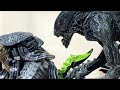 AVP(エイリアンvsプレデター)プレイセットフィギュア マクファーレントイズ alien vs predator