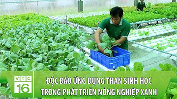 Độc đáo ứng dụng than sinh học trong phát triển nông nghiệp xanh | VTC16