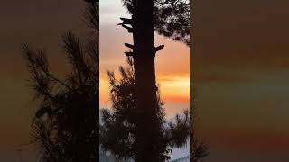 🌅🌅 #nature #sunset #mountains