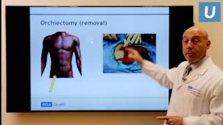 Testicular Cancer: What You Really Need to Know | Mark Litwin, MD, MPH | UCLAMDChat