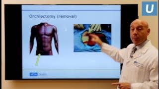Testicular Cancer: What You Really Need to Know | Mark Litwin, MD, MPH | UCLAMDChat