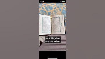 تلاوة بصوت الشيخ محمد عقيل سورة المؤمنون
