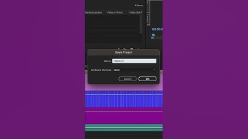 Custom Timeline PRESETS For Saved Layouts in Premiere Pro