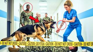 The K9 Guarded the Wounded SEAL — Until a New Nurse Revealed Her Tattoo