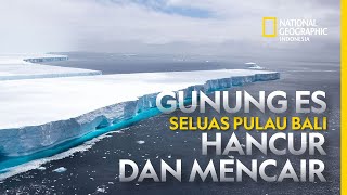 Gunung Es Seluas Pulau Bali Hancur dan Mencair