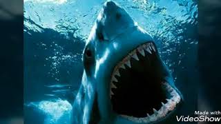Jaws theme song extended 8 min by: Steven Spielberg