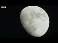 Гуандун: дикая природа, которая не встречается больше нигде на Земле | Документальный фильм Би-би-си