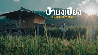 Lonely Backpacker "Rice Terraces in Thailand" | Lonely Together