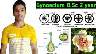 What is Gynoecium / Morphology of flowering plants