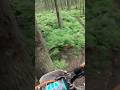 Дерево в дерево… ищи меня ВК #эндуро #мотоспорт