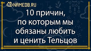 10 причин, по которым мы обязаны любить и ценить Тельцов