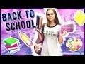 BACK TO SCHOOL 2019/Покупки КАНЦЕЛЯРИИ К ШКОЛЕ🤤❤️