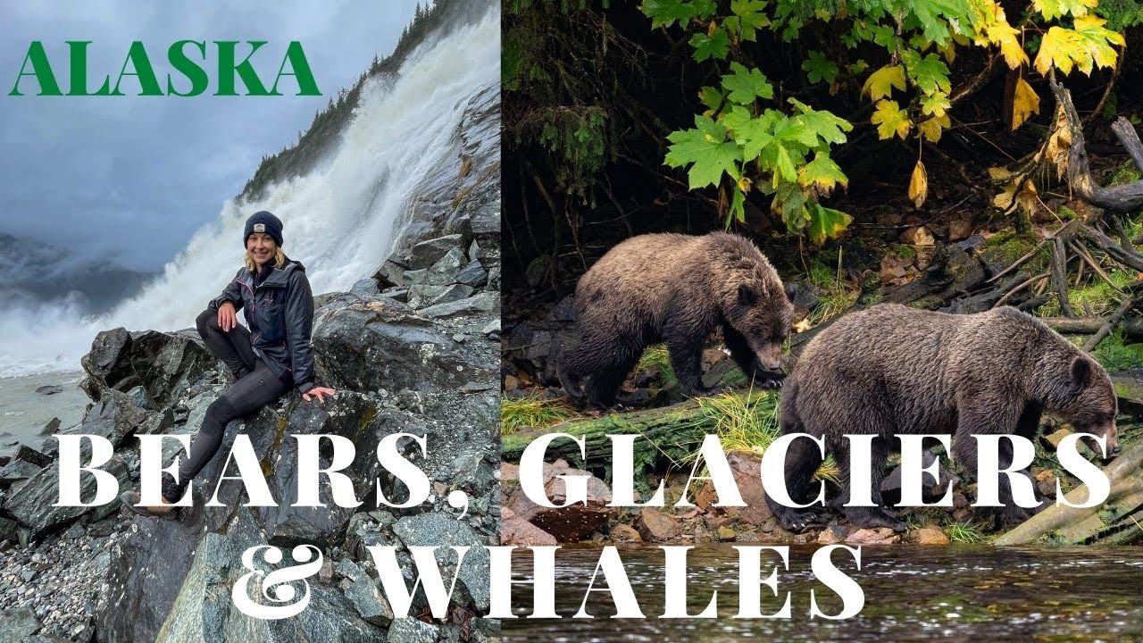 Juneau Alaska An Island Of Brown Bears Glaciers Whales Hikes Juneau Alaska An Island Of Brown Bears Glaciers Whales Hikes