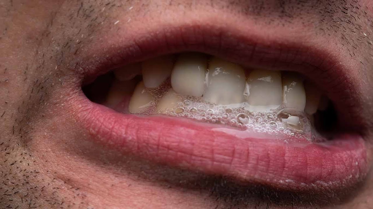 Todo lo que debes saber sobre la saliva UNAM Global YouTube