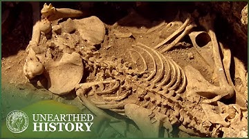 This 6 Million-Year-Old Skeleton Rewrote Human Evolution