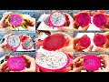 THE ULTIMATE DRAGON FRUIT TASTING VIDEO / OVER 2 HOURS / MOUTHWATERING RARE and DELICIOUS VARIETIES