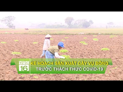 Video: Cây Vụ đông