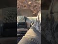 A little bit of what I've been seeing recently!