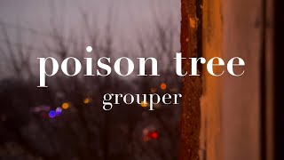 poison tree - grouper | 1 hour