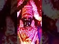 Jay hari Vitthal