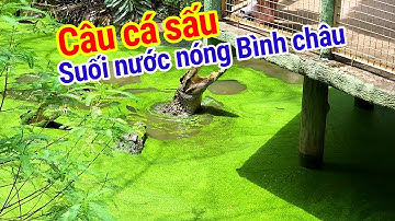 du lịch Vũng Tàu 🏖 câu cá sấu khu du lịch sinh thái suối nước nóng Bình châu | du lịch Việt Nam