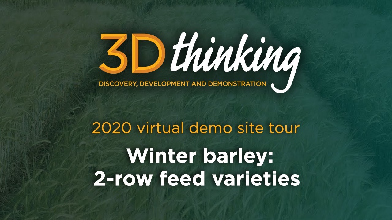 3D Thinking - Virtual plot tour 2020: Winter barley 2-row feed varieties