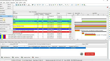 09-Import And Export Smart Tricks In P6