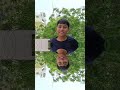 Ek Magarmacch Pani Mein Gaya chhapaak🐊🤣🤣 #funny #comedyvideos