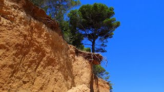 Wyspa VRGADA - Chorwacja 2016