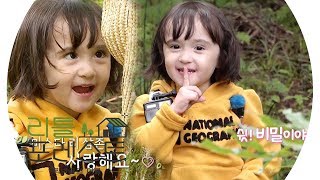 [쉿! 비밀 보장] 브룩이, ‘브룩 바라기’ 이서진 향한 고백♥ @리틀 포레스트 16회 20191007