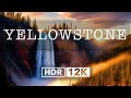Yellowstone Wyoming HDR 8k 60fps Dolby Vision
