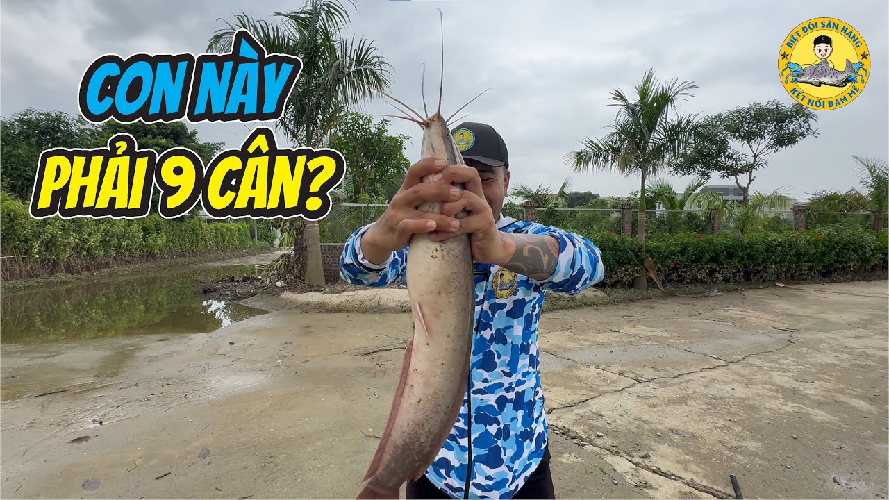 Câu Cá ở Hồ Câu Bán Tự Nhiên Sau Lũ?