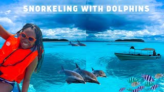 Swimming with dolphins and turtles | Things to do in Zanzibar | Mnemba Island| Nunwgi | Kendwa Rocks