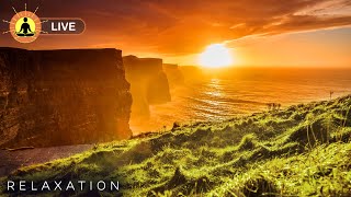 ? LIVE 24/7 TIMELAPSE Nature Video with Relaxing Music, Stress Relief, Sleep, Zen, Meditation, Study