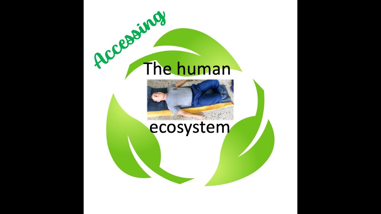 Accessing the ecosystem in the human body
