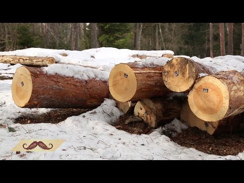 #კაცებისდრო კულტურული მემკვიდრეობა / ეკოლოგიური ვითარება საქართველოში