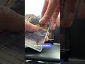 ⚡ “I Thought It Was a Mega Pull… Then This Happened 😭🔥 | Pokémon Card Opening #shorts #pokemon