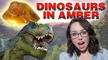 Dinosaur DNA Trapped In Amber