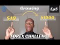 Growing 10  1000 trading forex  ep5