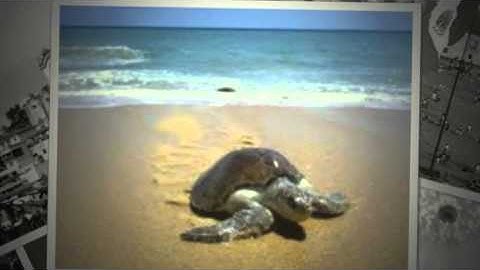 Thumbnail of Mexico lindo y querido. De Chucho Monge.