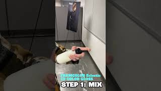 FRAMCOLOR Eclectic 5D COLOR GLOSS Quick and Easy Mixing Instructions