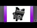 RACCOON 
