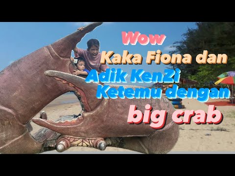 Kaka Fiona dan adik Kenzi ketemu kepiting raksasa di pantai gais😱😱😱